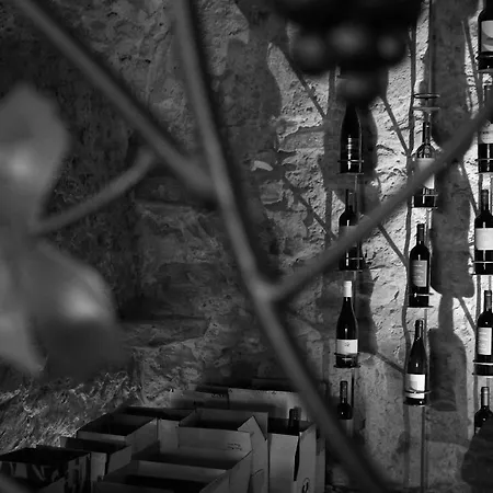 Szálloda Porta Verzasca Gordola