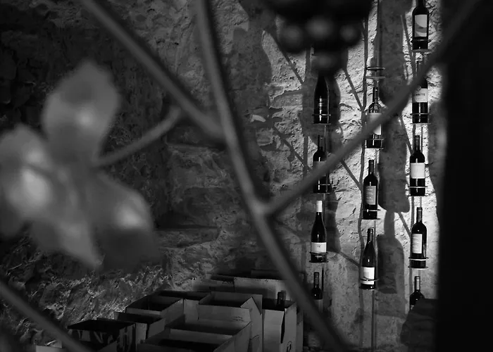 Hotel Porta Verzasca Gordola